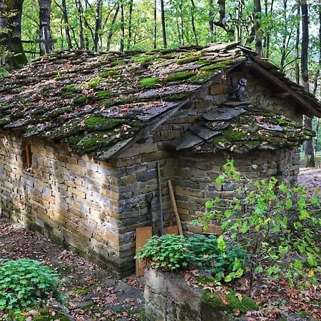 небесните пасбища *